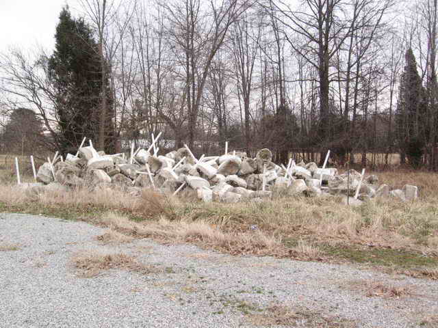 Starlite Drive-In Theatre - 2006 Photo